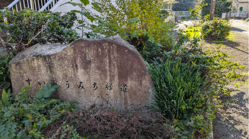 水のみち散策