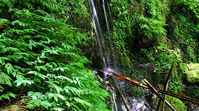 全国湧き水マップ